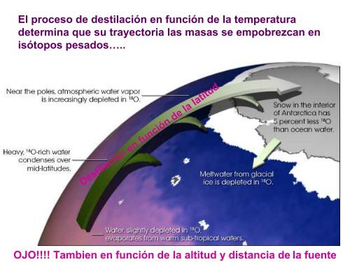 PRINCIPIOS Y UTILIZACION DE ISOTOPOS ESTABLES