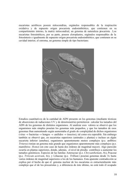 Manual sobre Técnicas Moleculares - Centro Jardín Botánico de ...