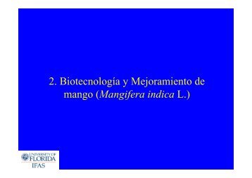2. Biotecnología y Mejoramiento de mango - cadena hortofruticola
