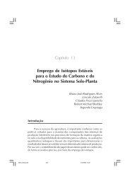 Emprego de Isótopos Estáveis para o Estudo do ... - Embrapa