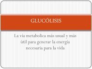 Glucólisis