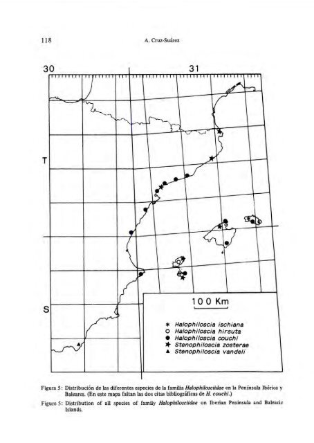 Los Halophilosciidae Verhoeff, 1908 de la Península Ibérica e Islas ...