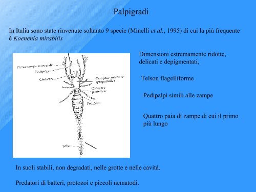 indice di Qualità Biologica del Suolo - Geol@b onlus