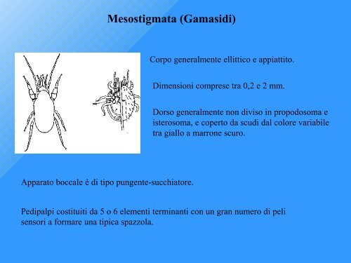 indice di Qualità Biologica del Suolo - Geol@b onlus