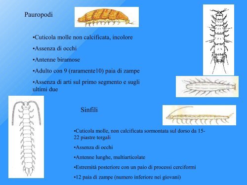 indice di Qualità Biologica del Suolo - Geol@b onlus