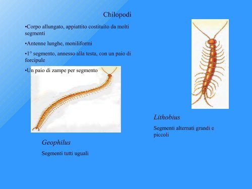 indice di Qualità Biologica del Suolo - Geol@b onlus