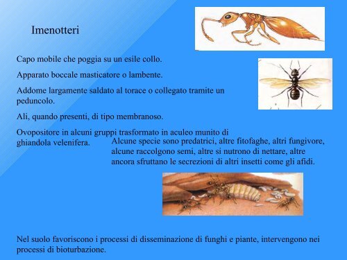 indice di Qualità Biologica del Suolo - Geol@b onlus