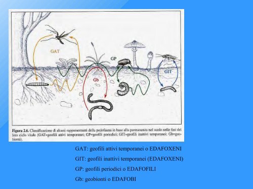 indice di Qualità Biologica del Suolo - Geol@b onlus