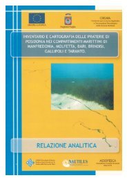 Relazione Analitica (File PDF, 3,7 MB) - Pugliamare.It