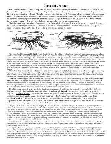 crostacei e aracnidi.pdf - Collegio San Giuseppe - Istituto De Merode