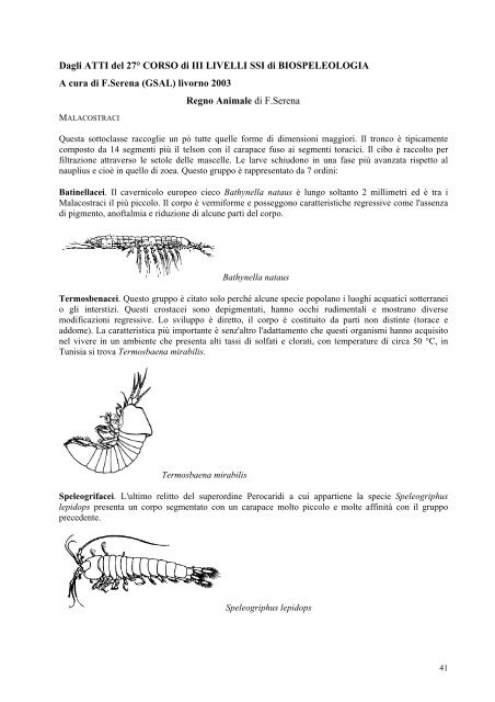 Regno Animale Invertebrati2.pdf - Speleolivorno.It