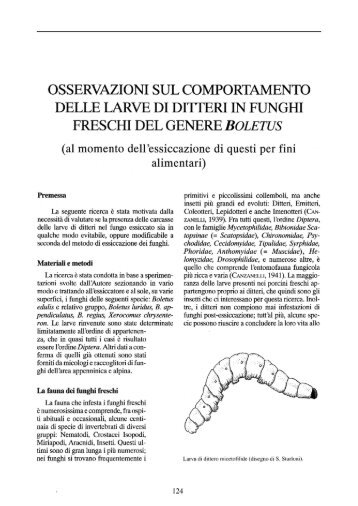 osservazioni sul comportamento delle larve di ditteri in funghi freschi ...