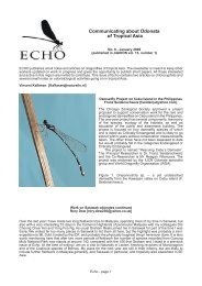 ECHO n°6 - Asia Dragonfly
