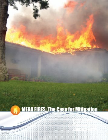 MEGA FIRES: The Case for Mitigation - Institute for Business and ...