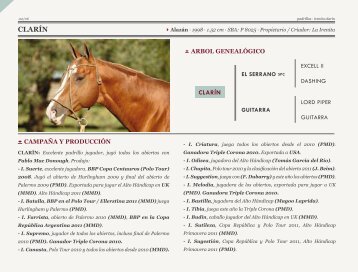 descargar pedigree - la irenita