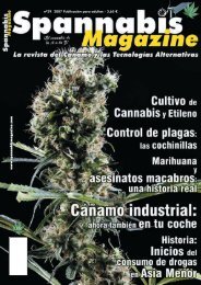 nº39 2007 Publicación para adultos - 3,65 - Cannabis Magazine