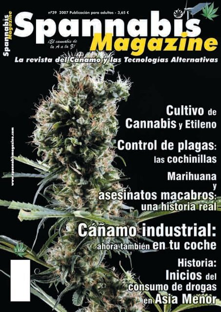 Sentirse aturdido después de fumar hierba