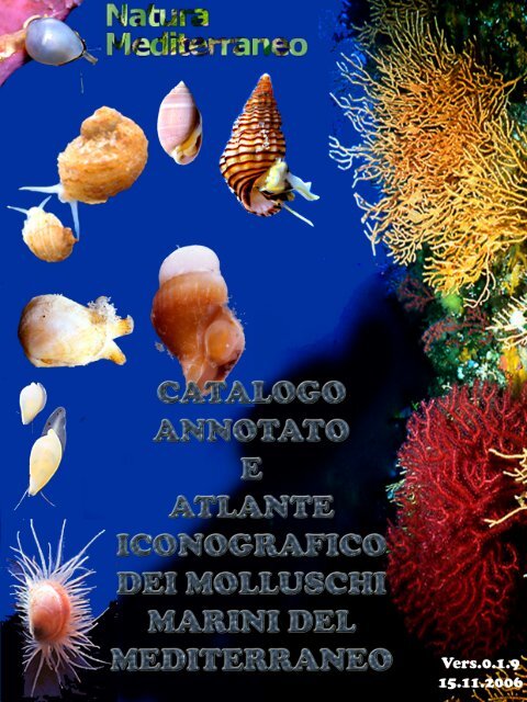 catalogo annotato e atlante iconografico dei molluschi marini del ...