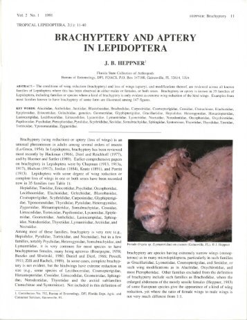 Heppner, J. B. 1991. Brachyptery and aptery in Lepidoptera ...