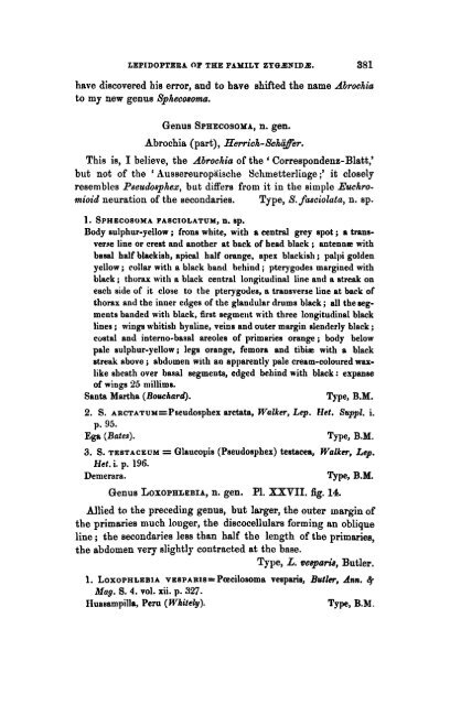 Notes on the Lepidoptera of the Family Zygnid, with ... - Wallace Online