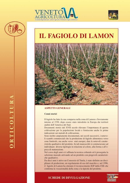 scarica scheda divulgativa fagiolo di Lamon pdf - Veneto Agricoltura