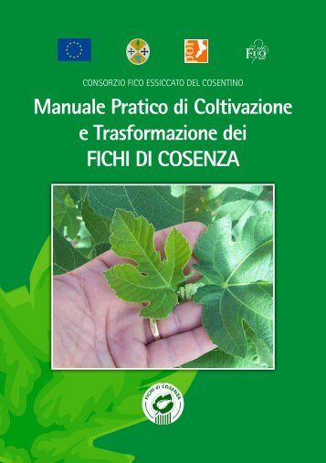 Manuale Pratico di Coltivazione e ... - Fichi di Cosenza