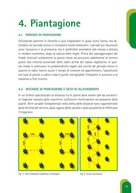 Manuale Pratico di Coltivazione e ... - Fichi di Cosenza