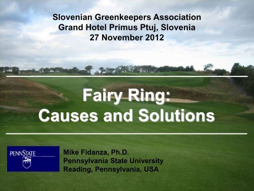Fairy Ring: Causes and Solutions