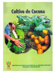 Cultivo de Cocona - Instituto de Investigaciones de la Amazonía ...