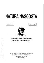 Natura Nascosta n° 14 - Il museo paleontologico