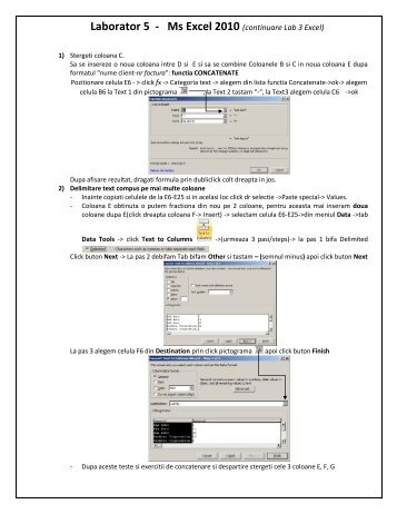 Laborator 5 - Ms Excel 2010 (continuare Lab 3 Excel)