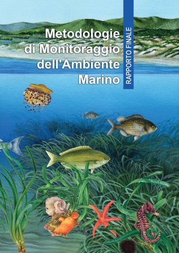 Rapporto finale - Metodologie di Monitoraggio dell ... - Momar