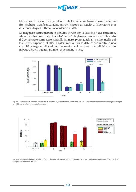 Rapporto finale - Metodologie di Monitoraggio dell ... - Momar