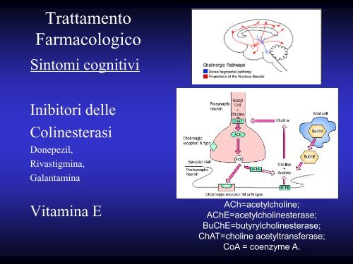 Le Demenze - Università degli Studi di Perugia