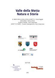 Valle della Motta - Fondazione Galli