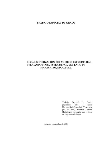 TEG PRIETO DELMIRO 2003.pdf - Saber UCV - Universidad Central ...
