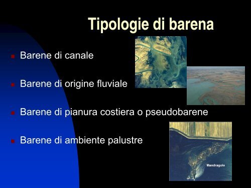 Le barene di Grado e Marano - vector