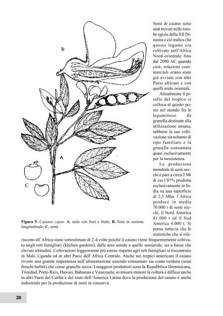 Formato PDF (3077 Kb) - Facoltà di Agraria - Università degli Studi ...