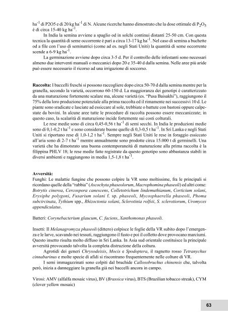 Formato PDF (3077 Kb) - Facoltà di Agraria - Università degli Studi ...