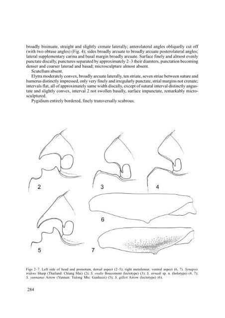 Distribution and taxonomy of some Synapsis species, with ...