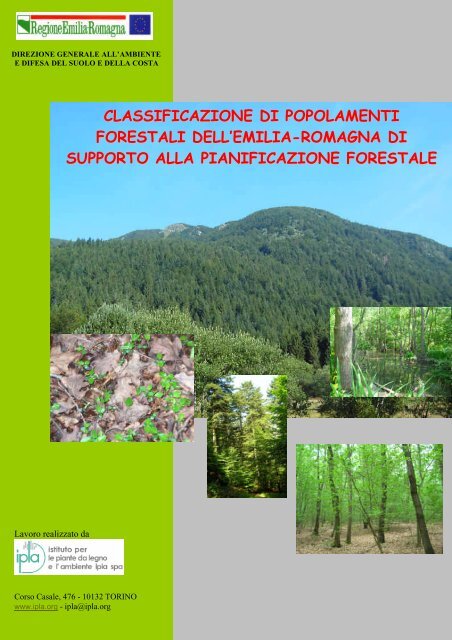 classificazione di popolamenti forestali dell - Ambiente - Regione ...