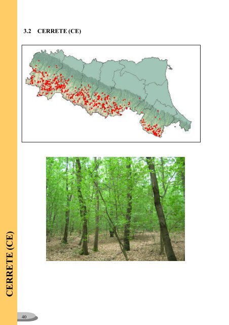 classificazione di popolamenti forestali dell - Ambiente - Regione ...