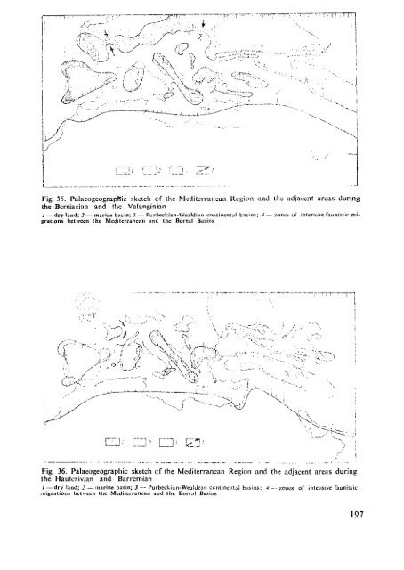 THE MEDITERRANEAN LOWER CRETACEOUS