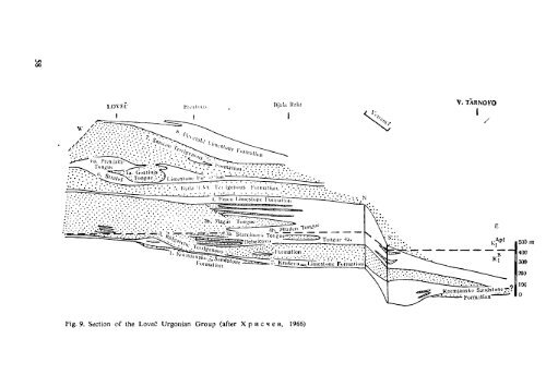 THE MEDITERRANEAN LOWER CRETACEOUS