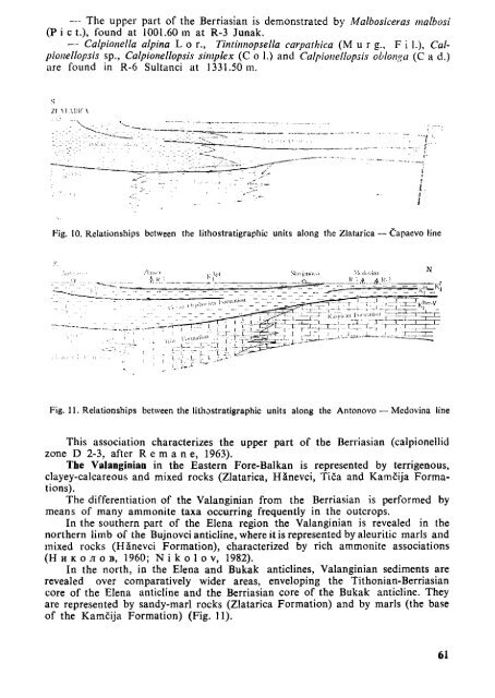 THE MEDITERRANEAN LOWER CRETACEOUS