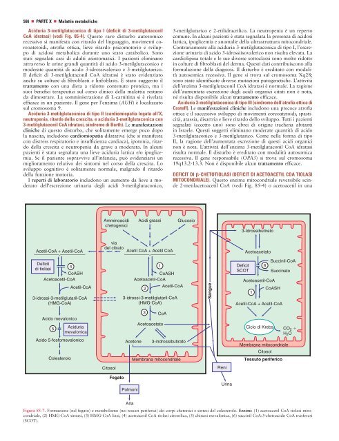 Capitolo 85 Disturbi del metabolismo degli amminoacidi - Doctor33