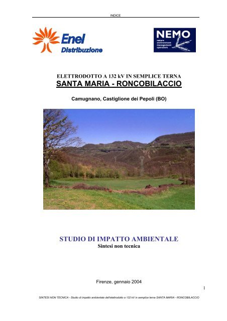 Enel Distribuzione S.P.A. - sintesi non tecnica - Provincia di Bologna