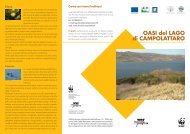 OASI del LAGO di CAMPOLATTARO - WWF Ricerche e Progetti