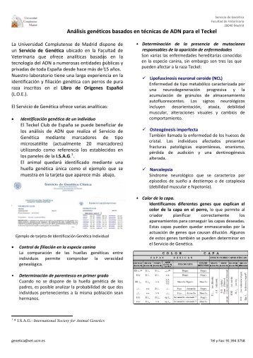 Análisis genéticos basados en técnicas de ADN para el Teckel