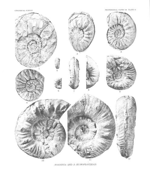 Middle Jurassic (Bajocian) Eastern Oregon